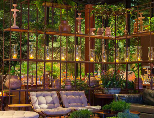 A Garden of Possibilities: Fort Lauderdale’s Newly Reimagined Boutique Stay