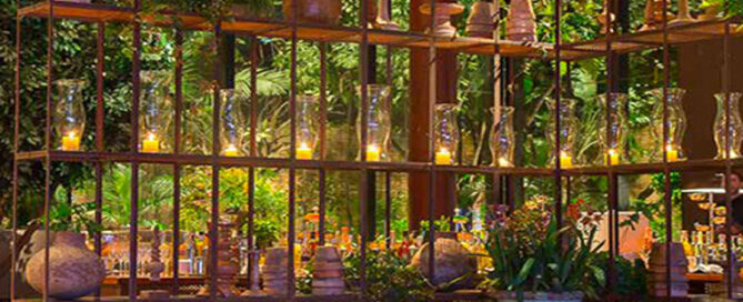 Cocktail bar with ambient lighting and drink service